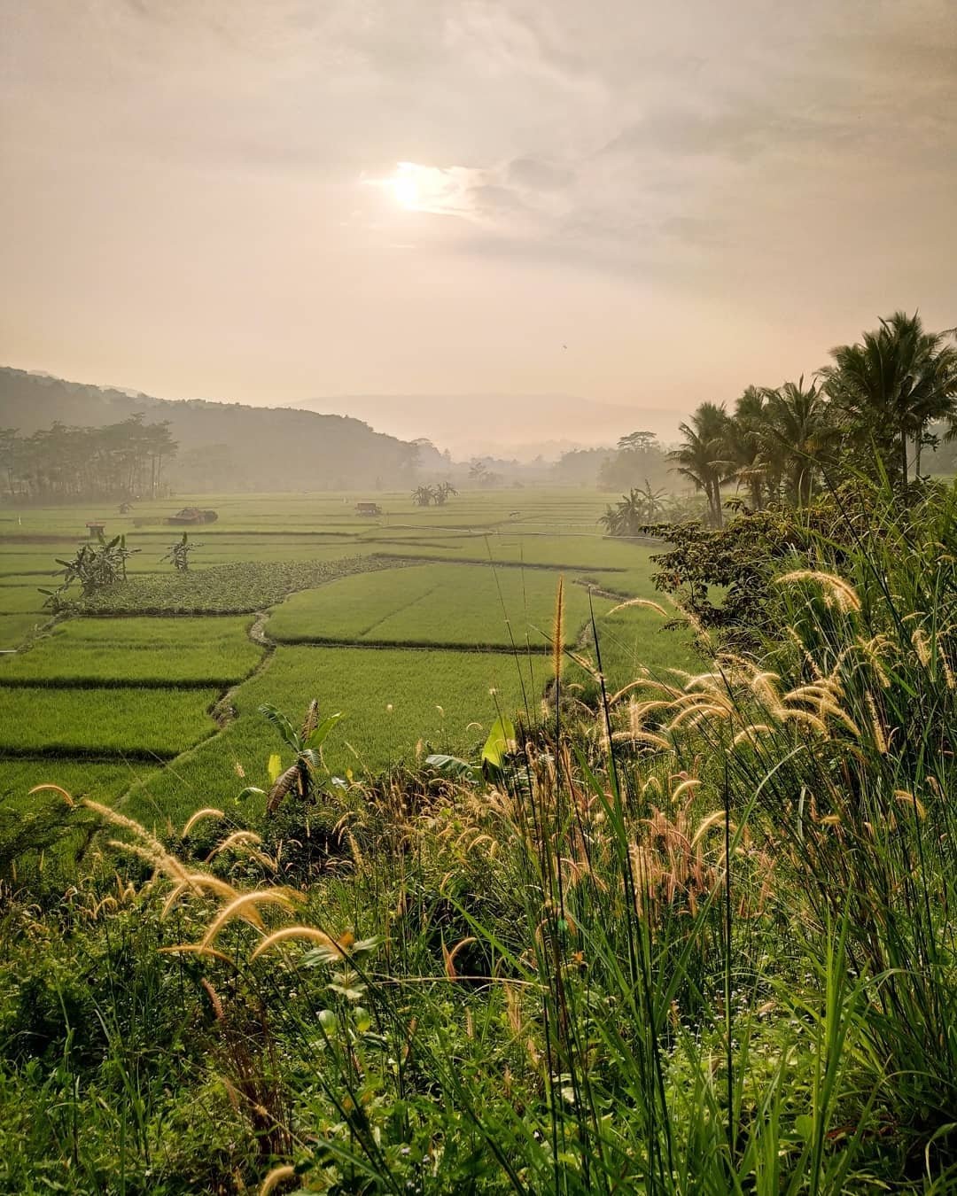 goa garunggang