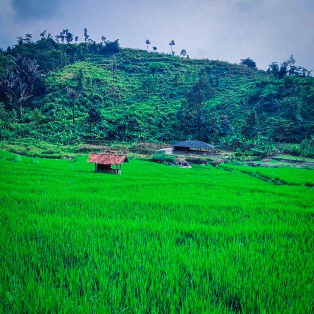 GAMBAR PEKAT LEUWI ASIH (5)