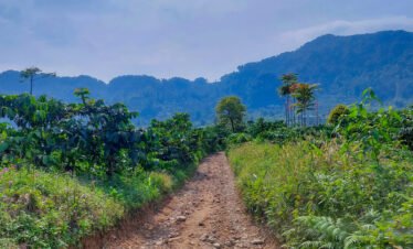 dusun cisadon