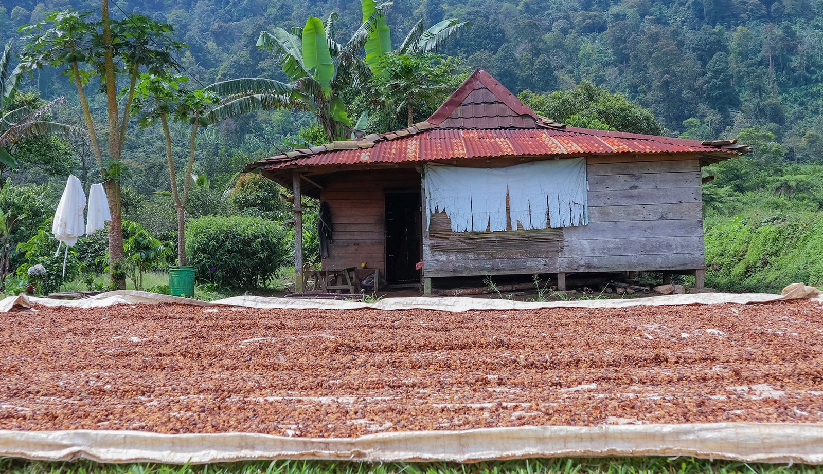 dusun cisadon