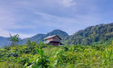 dusun cisadon