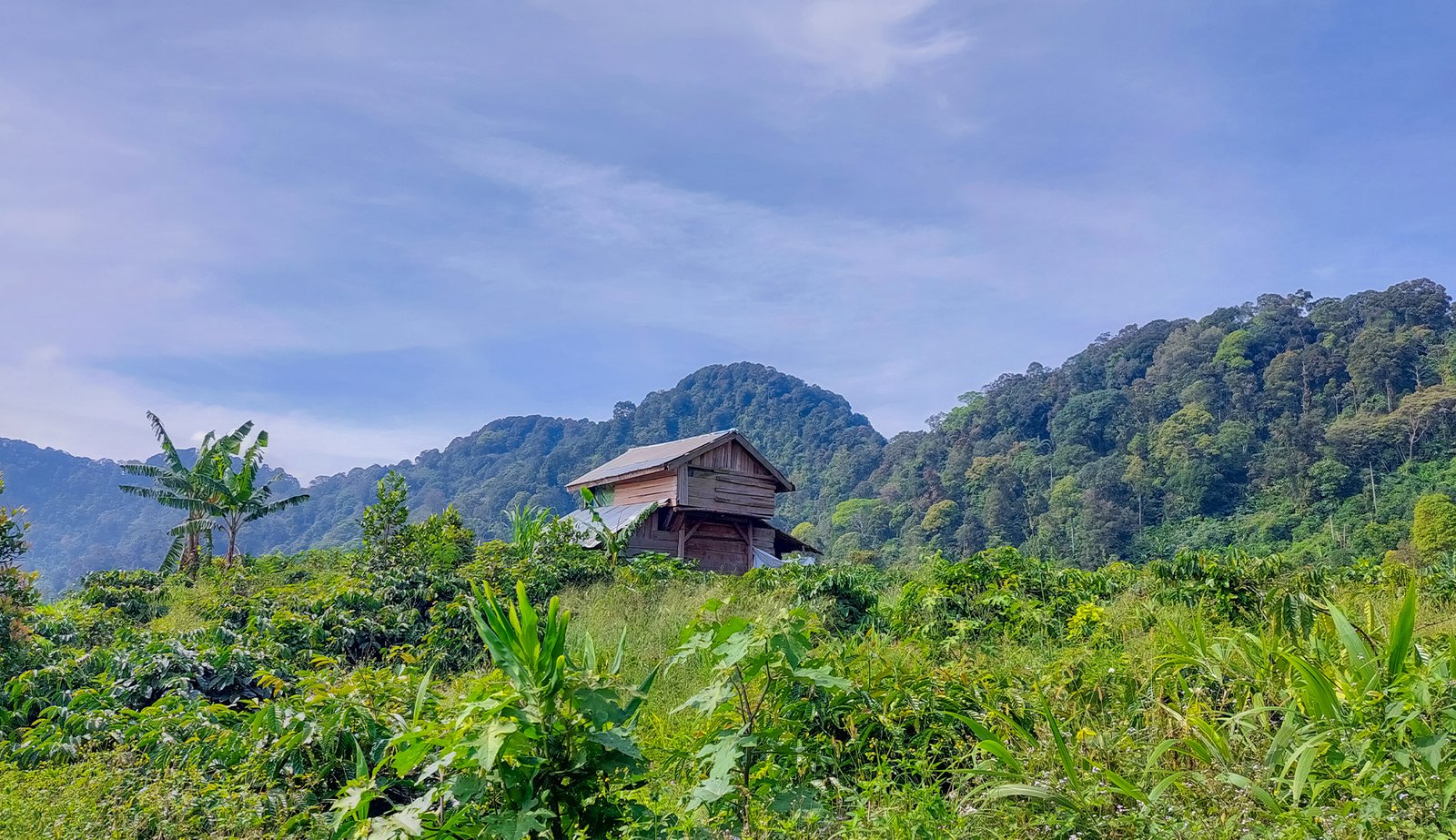 dusun cisadon