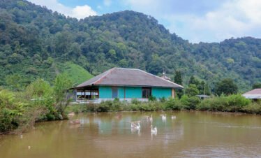 dusun cisadon