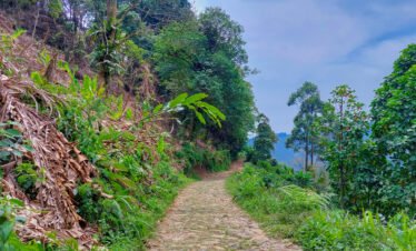 dusun cisadon