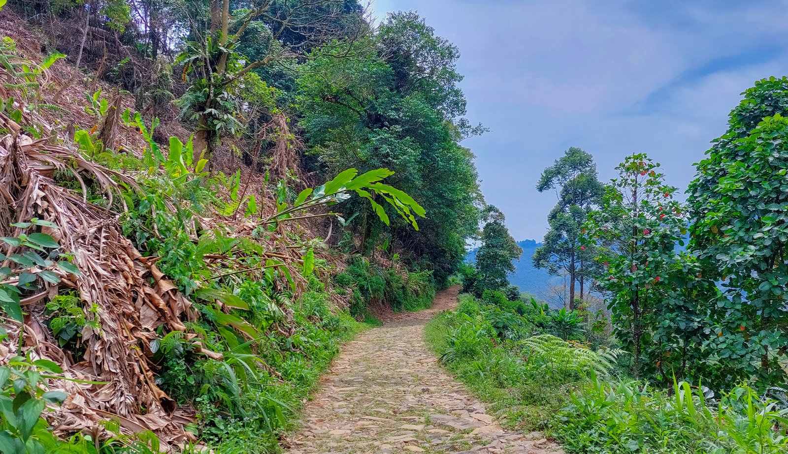 dusun cisadon